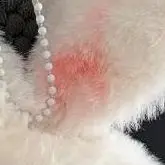 

Мультяшный милый длинноухий кролик, писк, плюшевая кукла, мягкие игрушки, брелок, кулон, ремешок, девчачий брелок, сумка, подвесные украшения, подарки