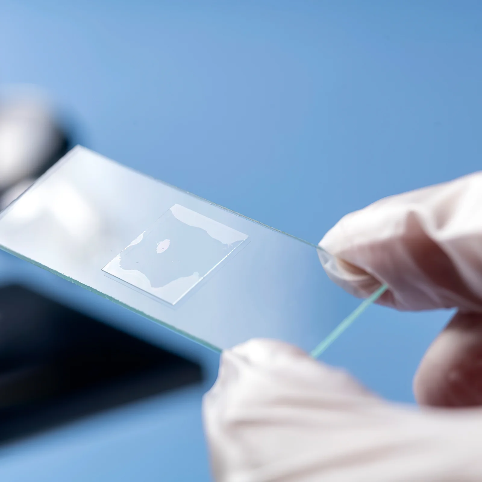 

50Pcs Microscope Slides Blank Optical Glass Pre-Cleaned Cover Slips Biological Education Lab Accessories Microscope Slides