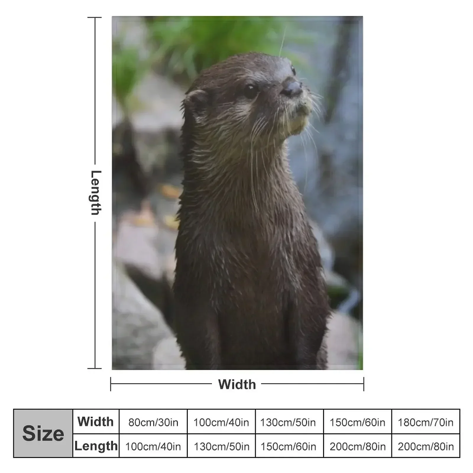 Otter Closeup Throw Blanket Sofa Throw warm for winter Polar Luxury Thicken Blankets