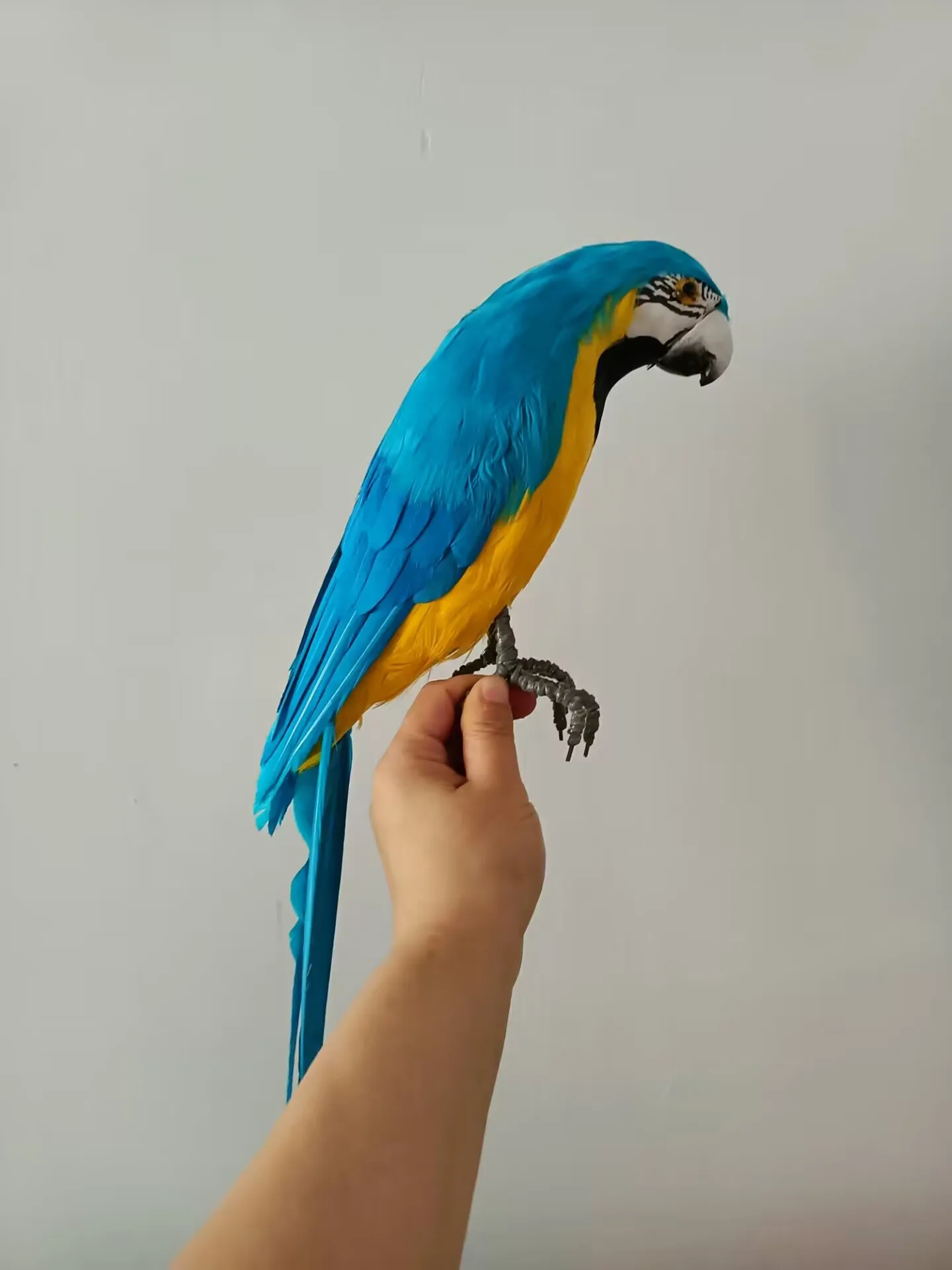 big foam and feather blue&yellow parrot model garden decoration gift about 45cm a2794