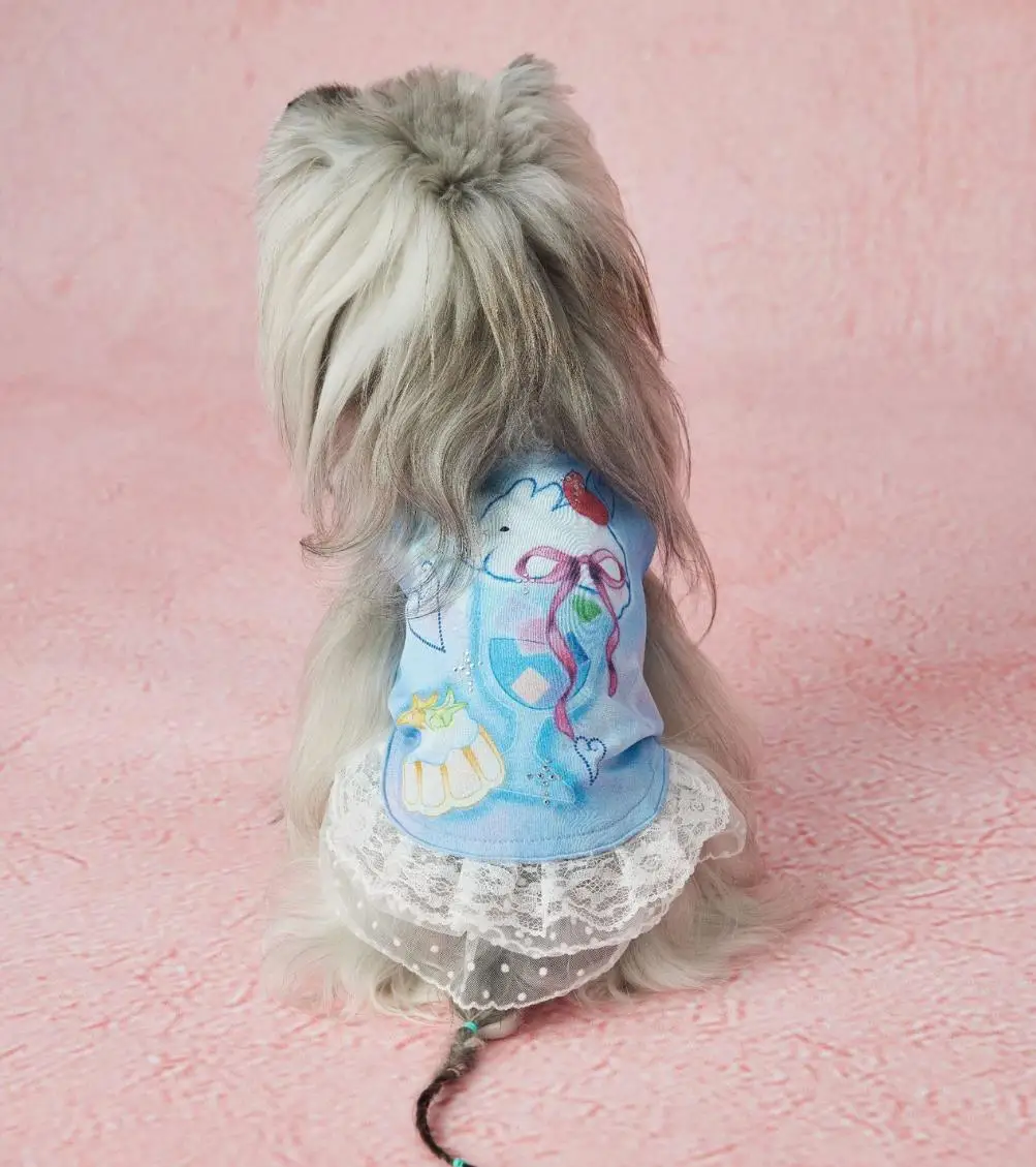 

Kawaii Blue Cartoon Cake Print Dog Vest Dress Rhinestone Detail Lace Ruffle Skirt Sweet Pet Costume for Small Breed Dogs Birthda