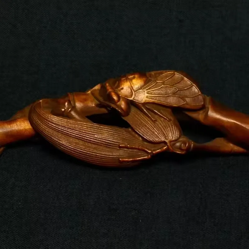 Size 20 cm Collection Ancient China Old Boxwood Hand Carved Lovely cicada Tea spoon Family Decoration Gift