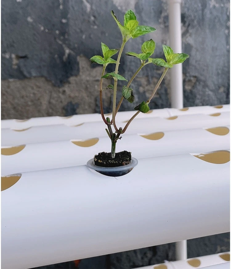 Pipeline hydroponic vegetable cultivation machine - Home soilless vegetable cultivation equipment - Multi-layer planting frame