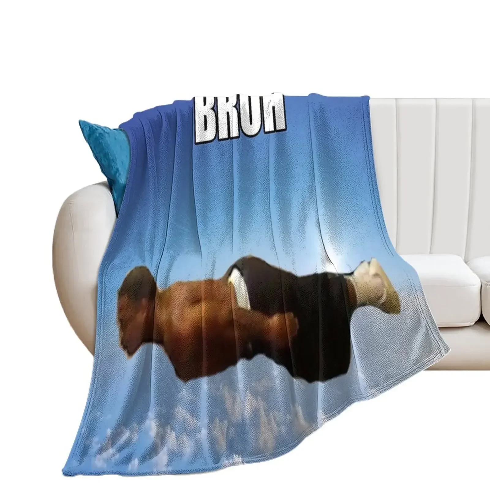 Bruh Flying Meme Throw Blanket anime Flannel Fabric Bed Fashionable Blankets