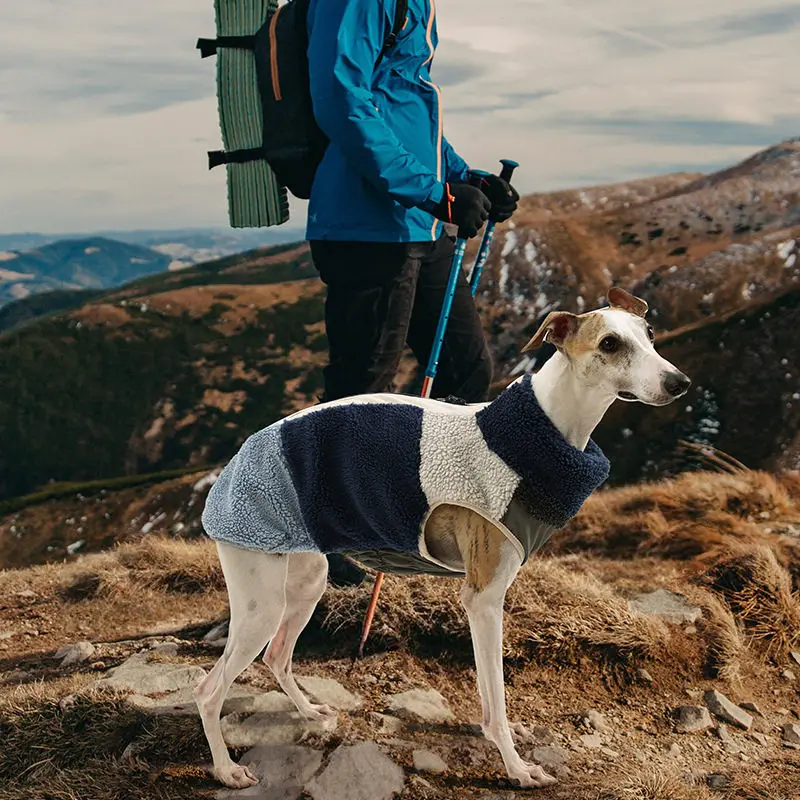 Color Block Sherpa Fleece Pet Coat Winter Zipper Warm High Collar Dog Jacket Windproof Stylish Outdoor Medium Large Dog Vest