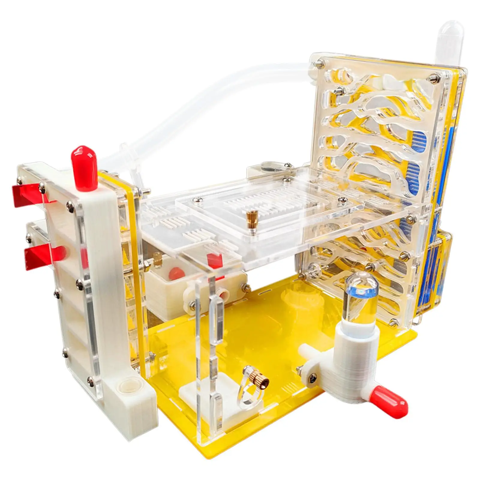 

ANT Farm Habitat Scientific Educational Learning Observation ANT Workshop Acrylic Nest House Villa for School