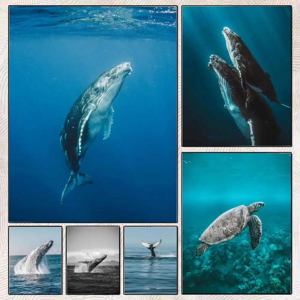 Sea Creatures Giant Whale Sharks Turtle Art Posters Animal Canvas Painting Nordic Murals Living Room and Room Decor Unframed