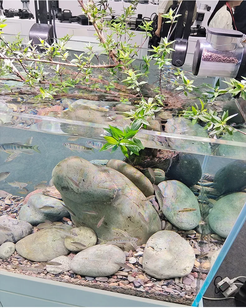 Fish tank aquarium tank bottom filter living room glass Lanshou stream tank bag back overflow ecological sea view 5