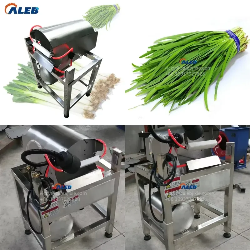 SFW Certificate Garlic Sprout Dry Peeling Machine Spinach Root Cutter for Small Food Factory Low Maintenance Compact