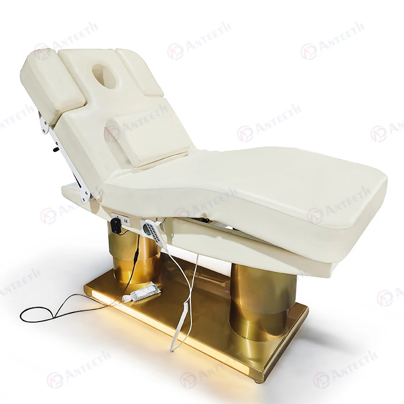 Luxurious  Armrest Hair Washing Facial Bed 4motors Comfortable Electric Massage Bed Metal Base Esthetician Lash Work Beauty  Bed