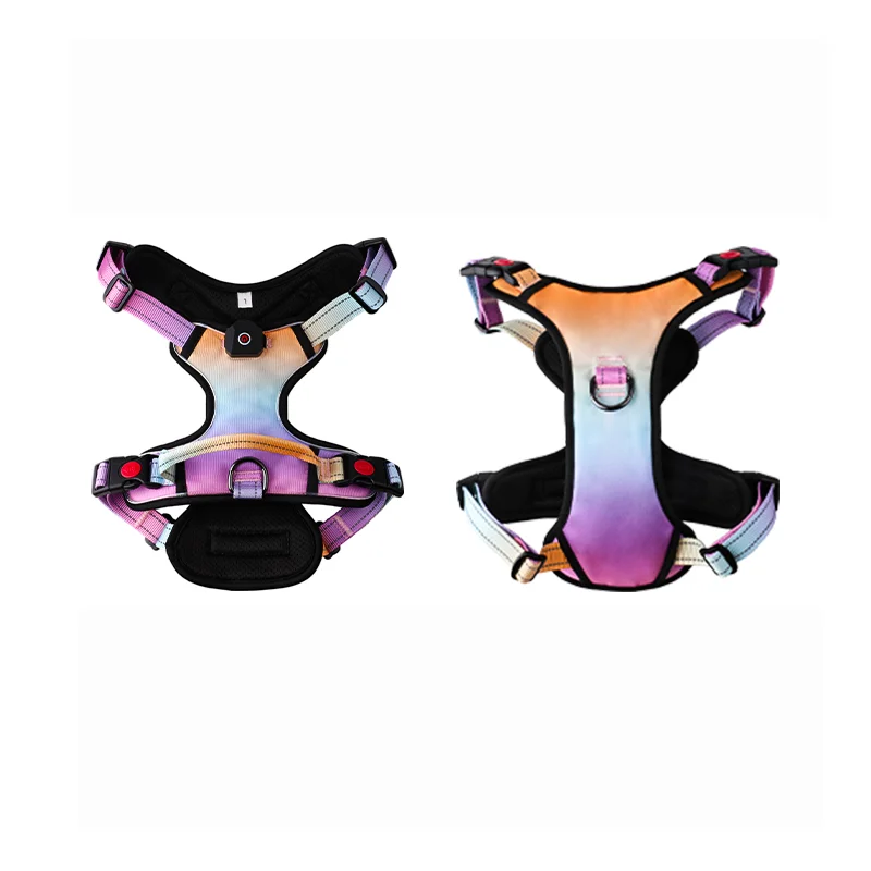 Hot Sale Nylon LED Dog Harness Quality Manufacturer Wholesale Night Security Outdoor Adjustable Custom Dog Harness With Lights
