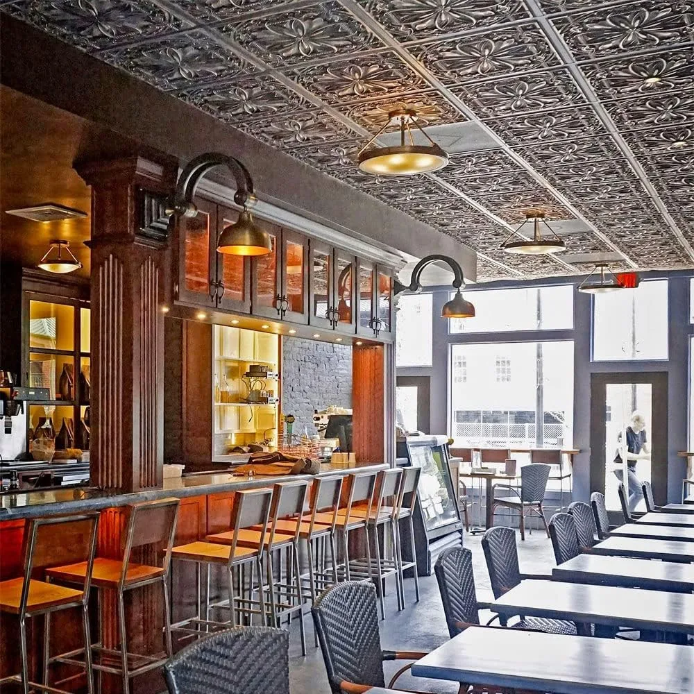 数時間でプレーンから美しいへ DCT10 ミラン PVC 2フィート x 2フィート レイインまたは接着式天井タイル（カバー/40平方フィート）、グラファイトゴールド、10枚入り