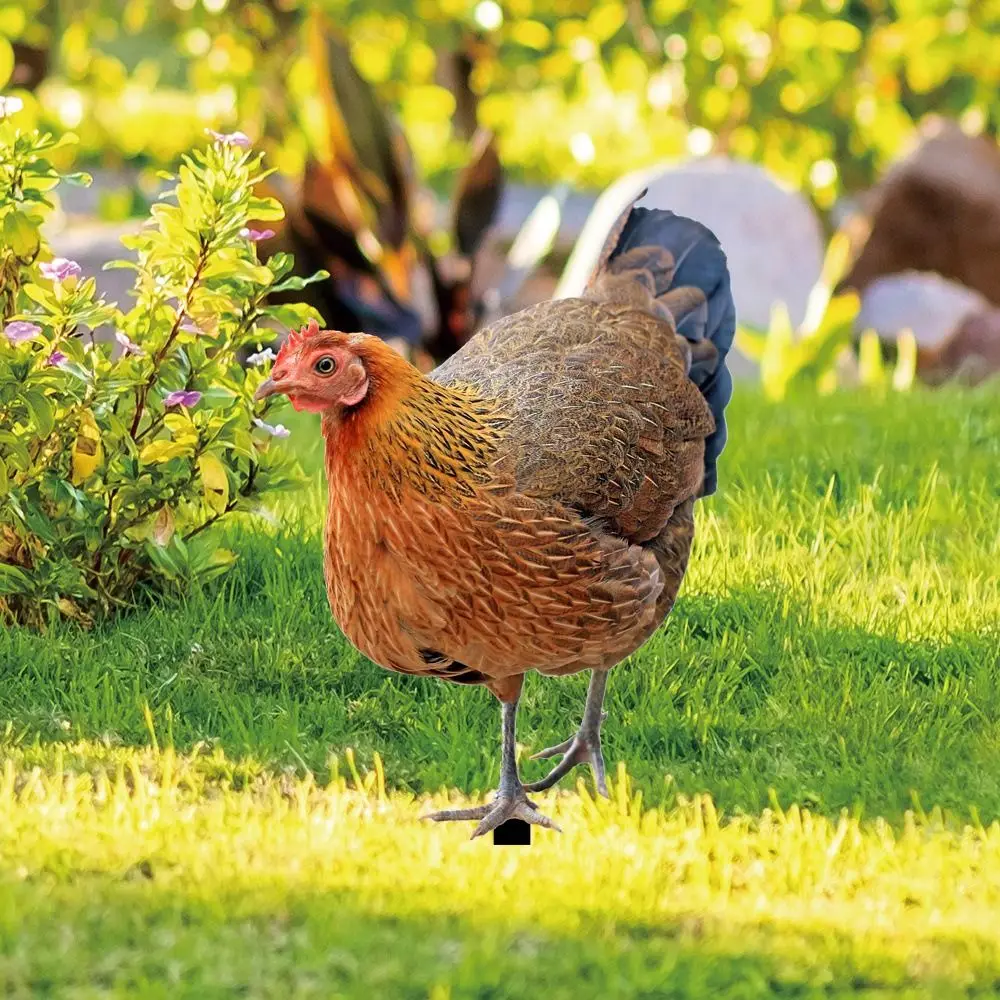 Realistic 3D Garden Chicken Stake Yard Art Reliable Acrylic Chicken Ornament DIY Animals Sculpture Farm