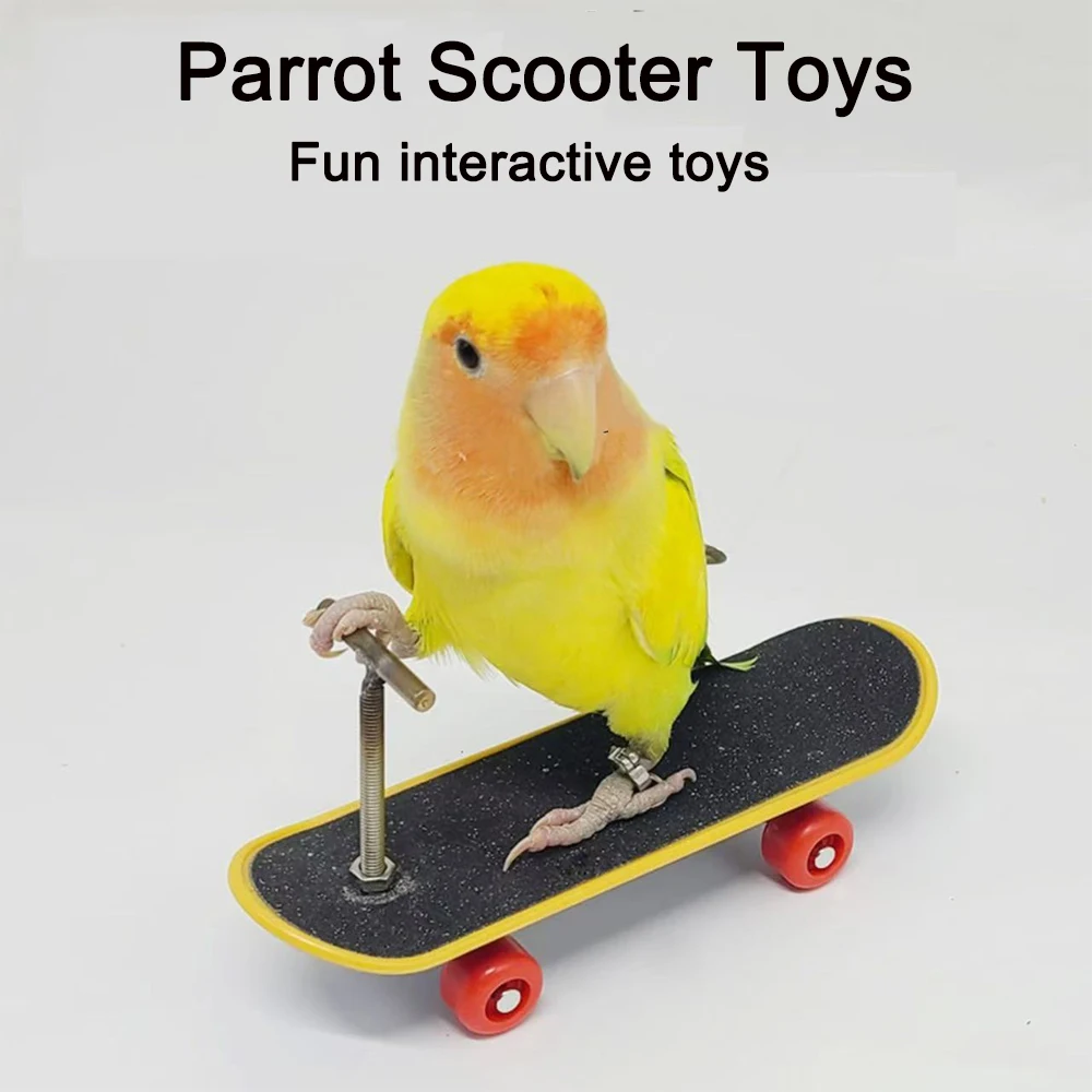 

PARKER Parrot Birdie Scooter Toys Intelligence Enhancement Training Interactive Toys Birdie Performance Props Chew Toys Pet Toys