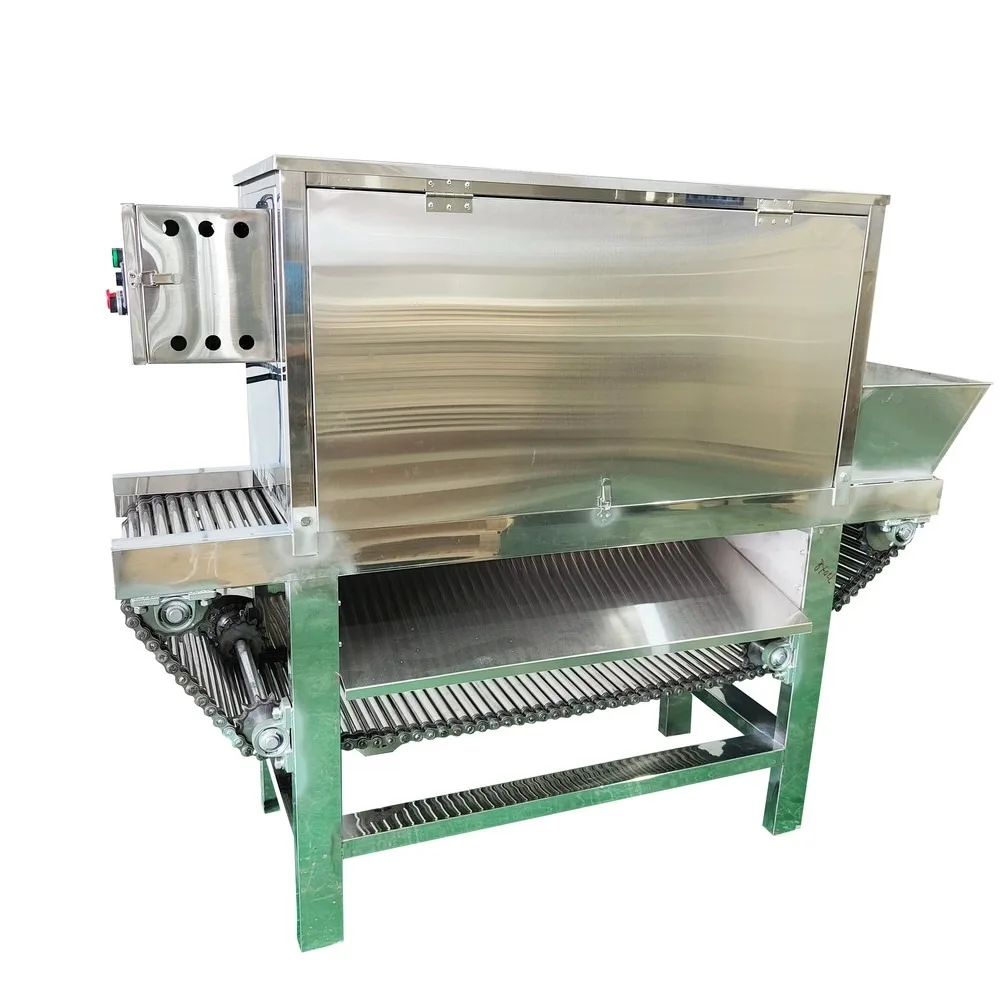 600KGH Chain Type Garlic Peeler Machine Pneumatic Garlic Peeling Skin Remover Commercial