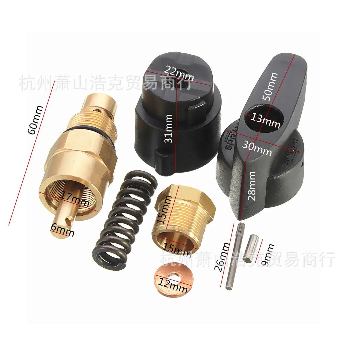 For Aftermarket Airless Sprayer Backflow Valve 700258 For 440 540 640 Backflow Valve 700258