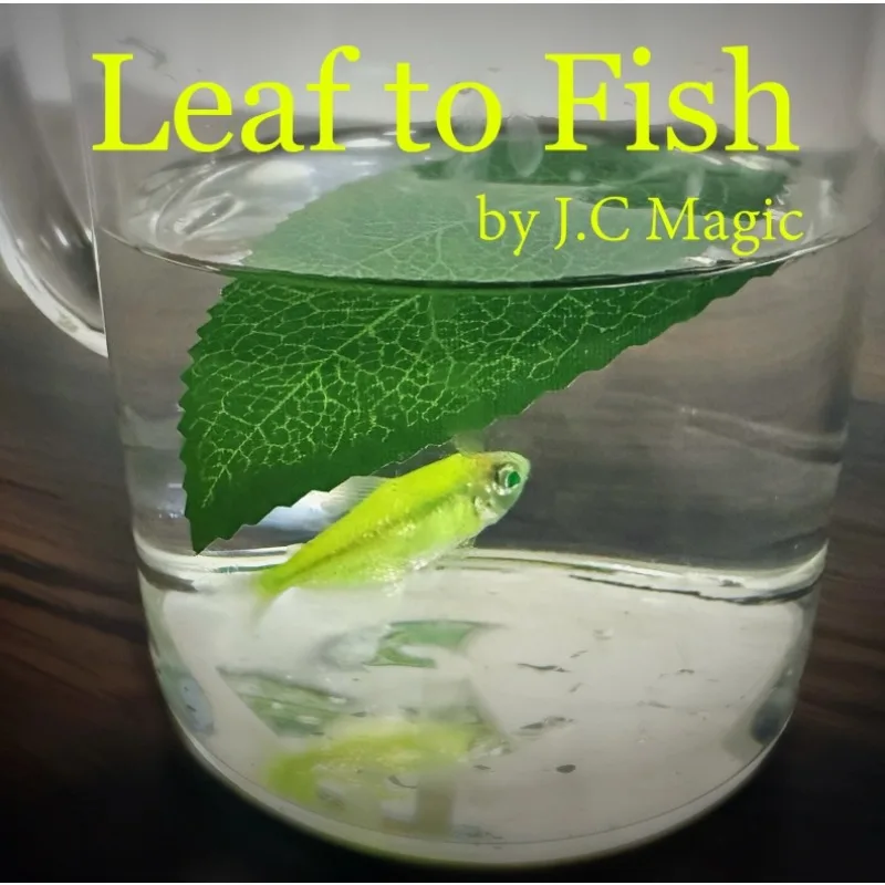 Leaf To Fish By J.C… - image