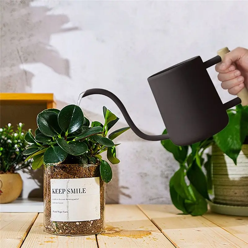 A78I Watering Can I… - image