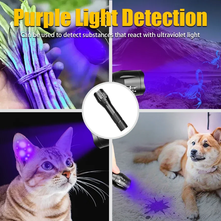 2-in-1 Type C Rechargeable UV Flashlight Torch Light 395nm Black Light Portable Ultraviolet Light Pets Blacklight UV Flashlights image 6