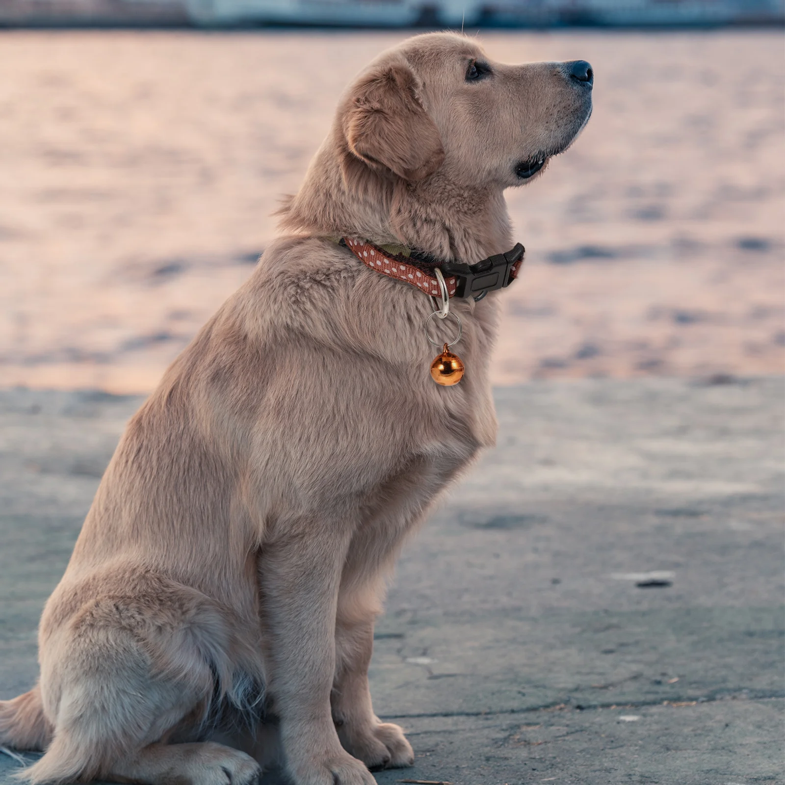 

Dots Bell Collar Pet Small Kitten Dog Puppy Adjustable Jingle Bell Durable Comfortable Lightweight Yellow