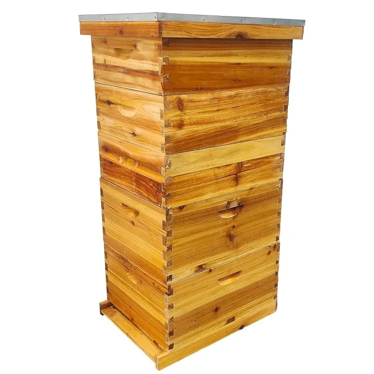 5 Layer Complete Langstroth Beehive Box 10 Frame Beeswax Coated Wooden Bee Hive Starter Kit