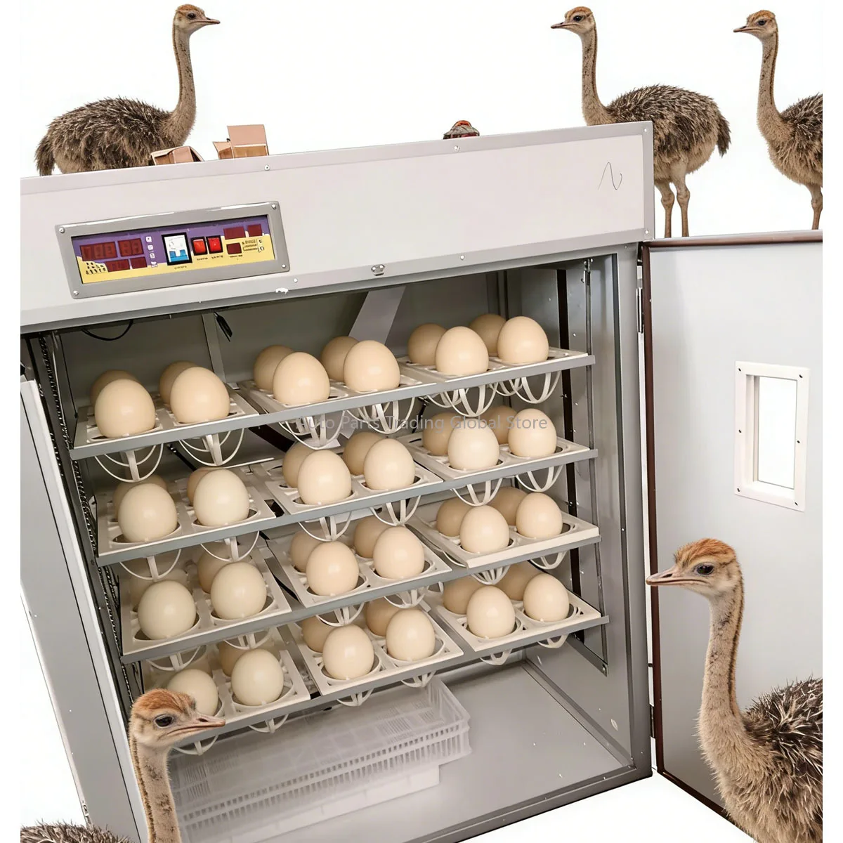 

Ostrich Egg Hatching Chicken Automatic Ostrich Egg Incubator