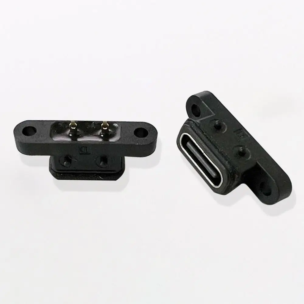 Type-C TYPE C 2Pin Female USB C Waterproof Port With Screw Hole USB Connector 180 Degree 2P Computer Charging Port