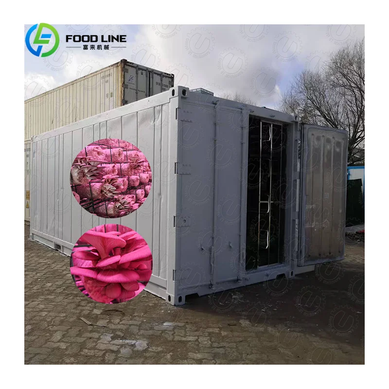 Custom High-Yield Large Size Hydroponic Mushroom Growing Container Professional Fungiculture Chamber for Home & Commercial Use