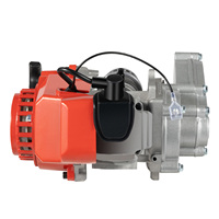 49CC 2 Stroke Engine Motor Single Cylinder Air-Cooled, Pull Start Gasoline Engine, for Pocket Bike Mini Dirt Bike ATV Scooter
