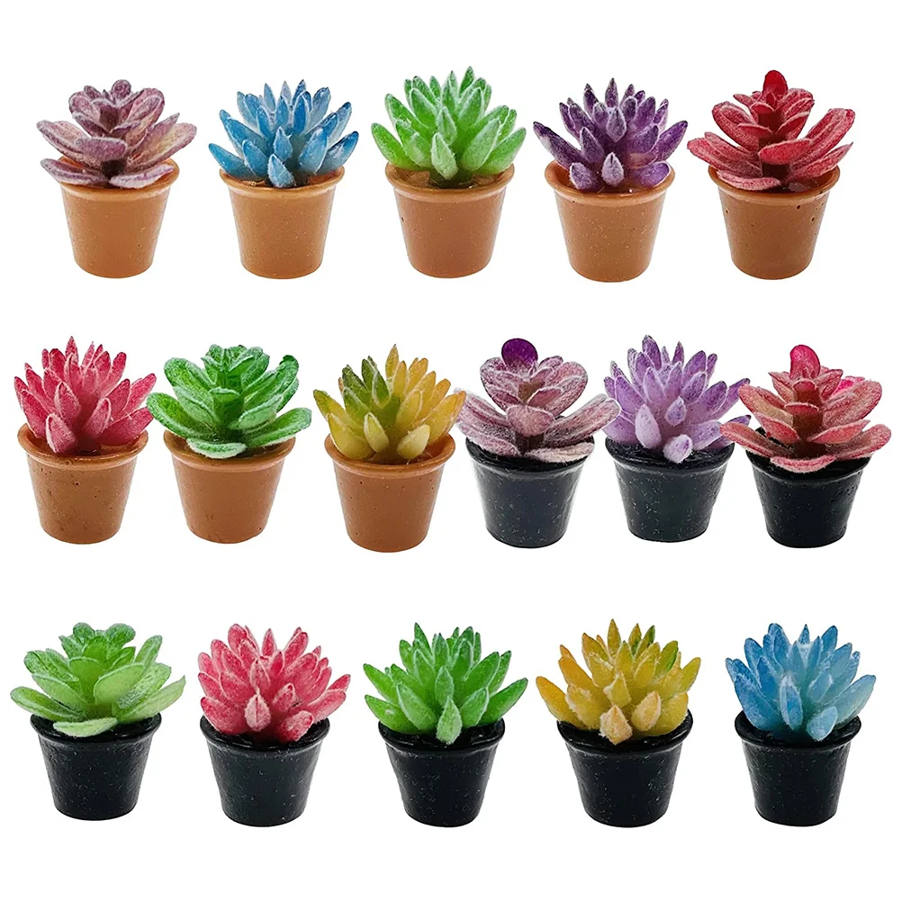 

16 Pcs Miniature Succulents House Accessories Garden Decor Home Décor Plants Tiny Bonsai Potted