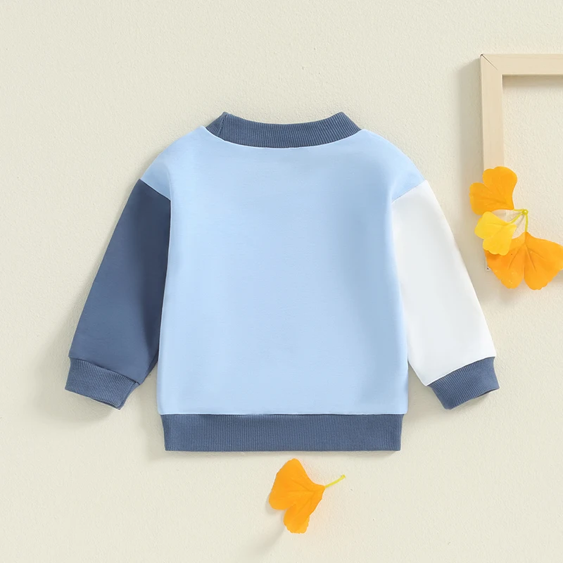 2024-06-05 Lioraitiin 0-5Y Toddler Girls Boys Sweatshirts Contrast Color Crew Neck Long Sleeve Baby Pullovers Fall Clothes Tops