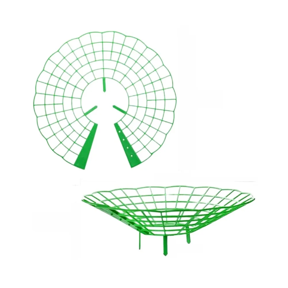 Green Strawberry Supports 20 Pack PP Plastic Sturdy Plant Stands for Better Drainage Airflow and Prevention in Gardens
