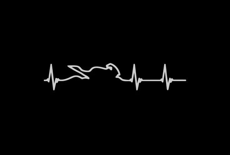 Heart Electrocardiogram of Race Players Car Sticker KK Decal AccessoriesCar Styling Cover Scratches Motorcycl