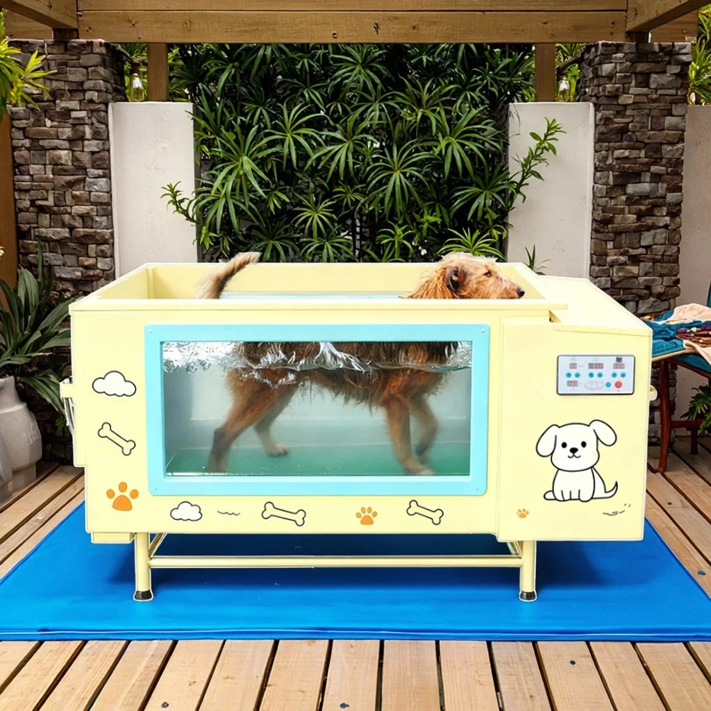 Pet Underwater Treadmill-Modern Rectangle Design Freestanding Metal Construction Apartment Use Soaking Function