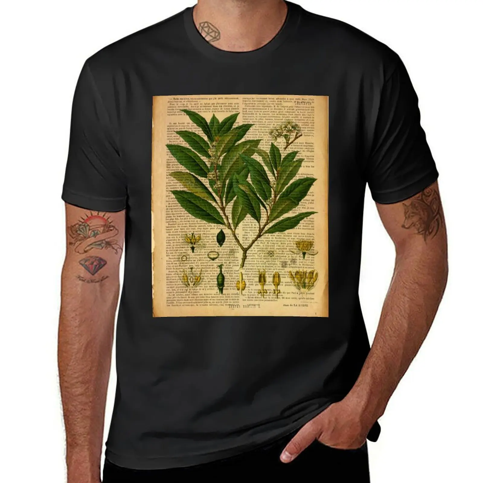 Botanical print, on old book page T-Shirt korean fashion vintage clothes customs design your own oversized t shirts for men