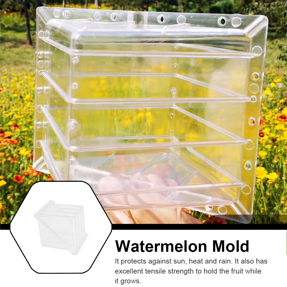 

Watermelon Growth Molds Fruit Forming Shaping Tool Vegetable Gardening Square PC Transparent Lightweight Storage