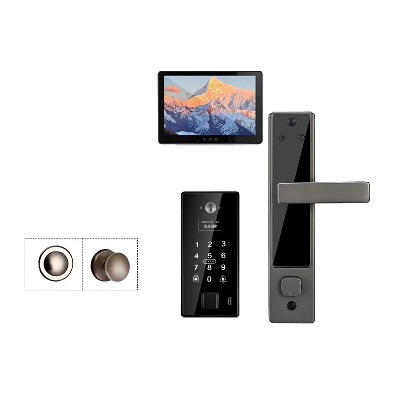Embedded fingerprint facial recognition ten-inch anti-theft door smart