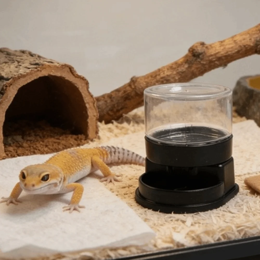 Thumbnail 3 - #42 Reptile Water Bowls Comparison Guide