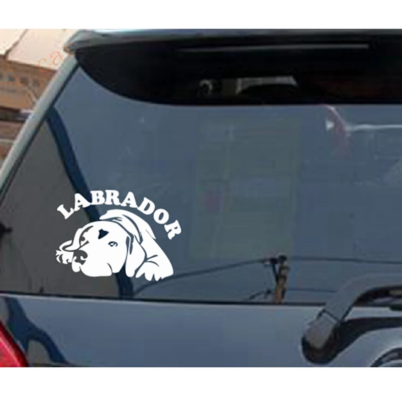 

High Quality motorcycle Decals Labrador Stickers For Car Bumper Accessories