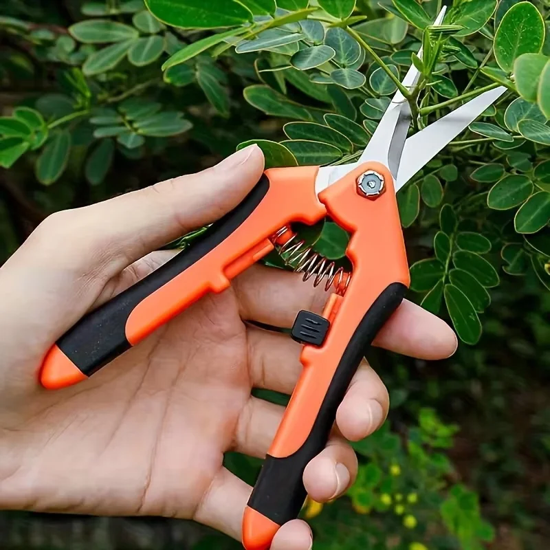 Tijeras de podar para jardinería, tijeras para bonsái, tijeras para recoger uvas y frutas, herramientas de poda para plantas en macetas, 1 ud.