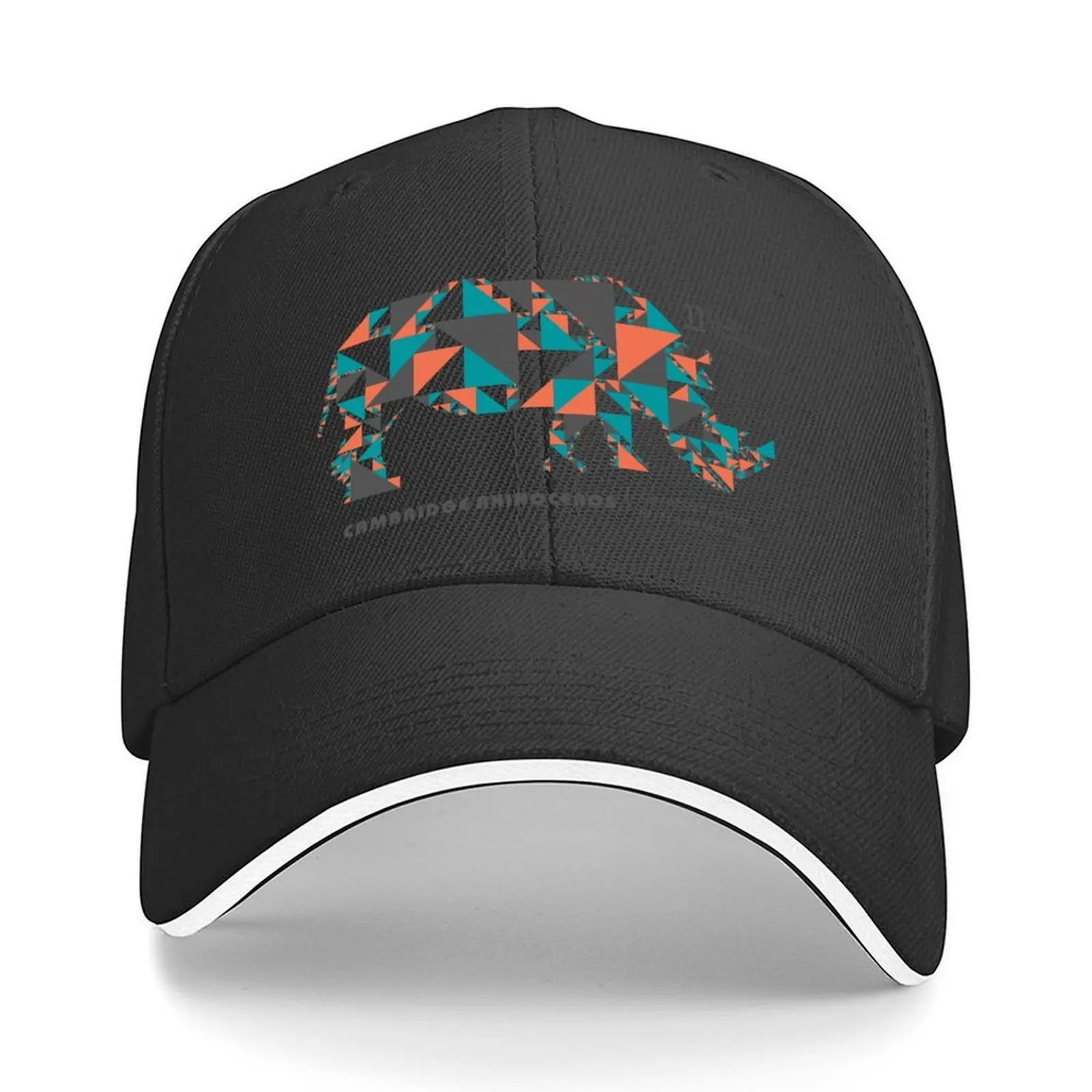 

Wittgenstein's Rhinoceros Baseball Cap summer hat dad hat Wild Ball Hat Beach Bag Women's Hats For The Sun Men's