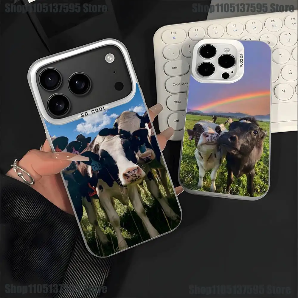 Lovely Cute Cow Cow… - image