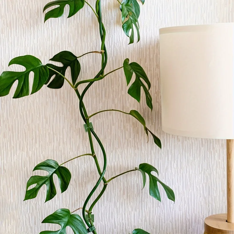 30Pcs Invisible Plant Climbing Wall Hooks, Self-Adhesive Reusable Adjustable Vine Holders for Indoor & Outdoor Garden