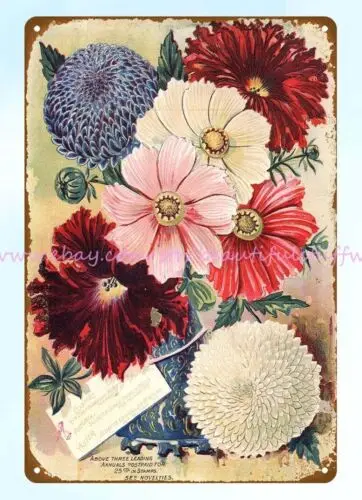 1895 Cosmo Petunia Aster Wm. Elliot & sons flower seeds metal tin sign repro art