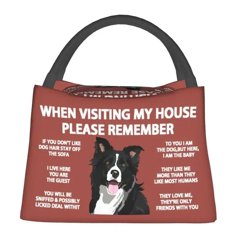 Border Collie Thermal Insulated Lunch Bag Women Pet Dog Gift Resuable Lunch Container for Outdoor Camping Travel Meal Food Box