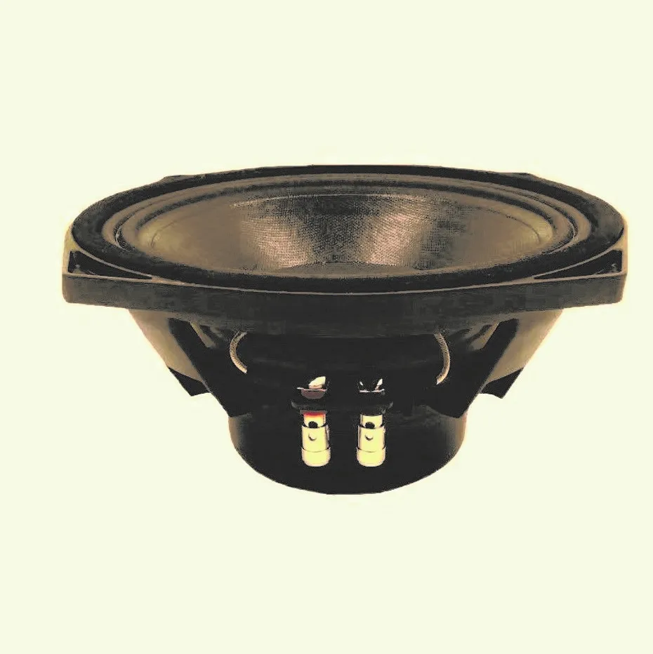 

High SPL Low Price Acoustics Line Array System Speaker Birch Plywood