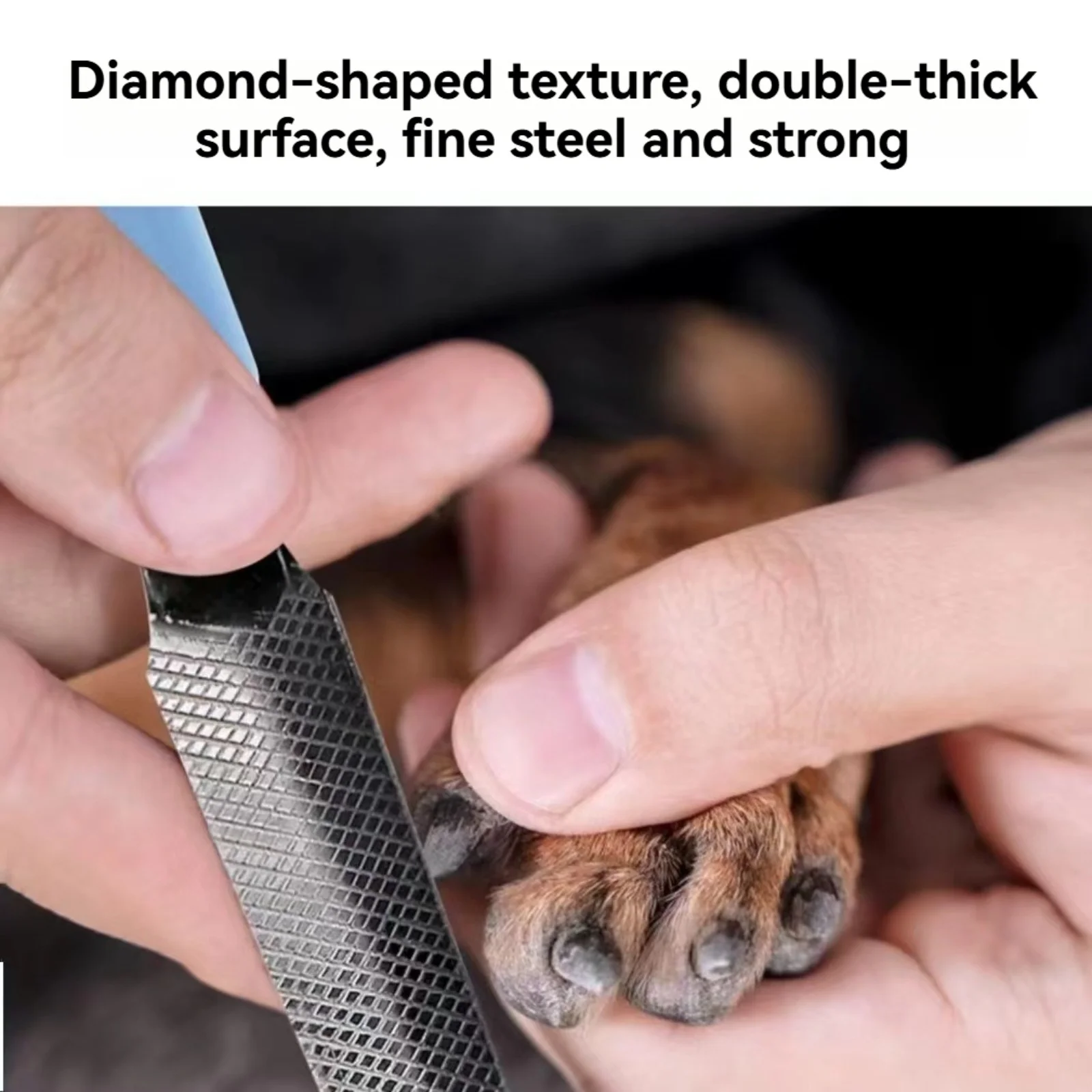 ตะไบเล็บสัตว์เลี้ยง ตะไบเล็บสุนัข ตะไบเล็บแมว เครื่องมือขัดเล็บ อุปกรณ์ทำความสะอาดและดูแลเล็บสัตว์เลี้ยง ความยาว 14 ซม. ตะไบเล็บสำหรับดูแลเล็บสัตว์เลี้ยง