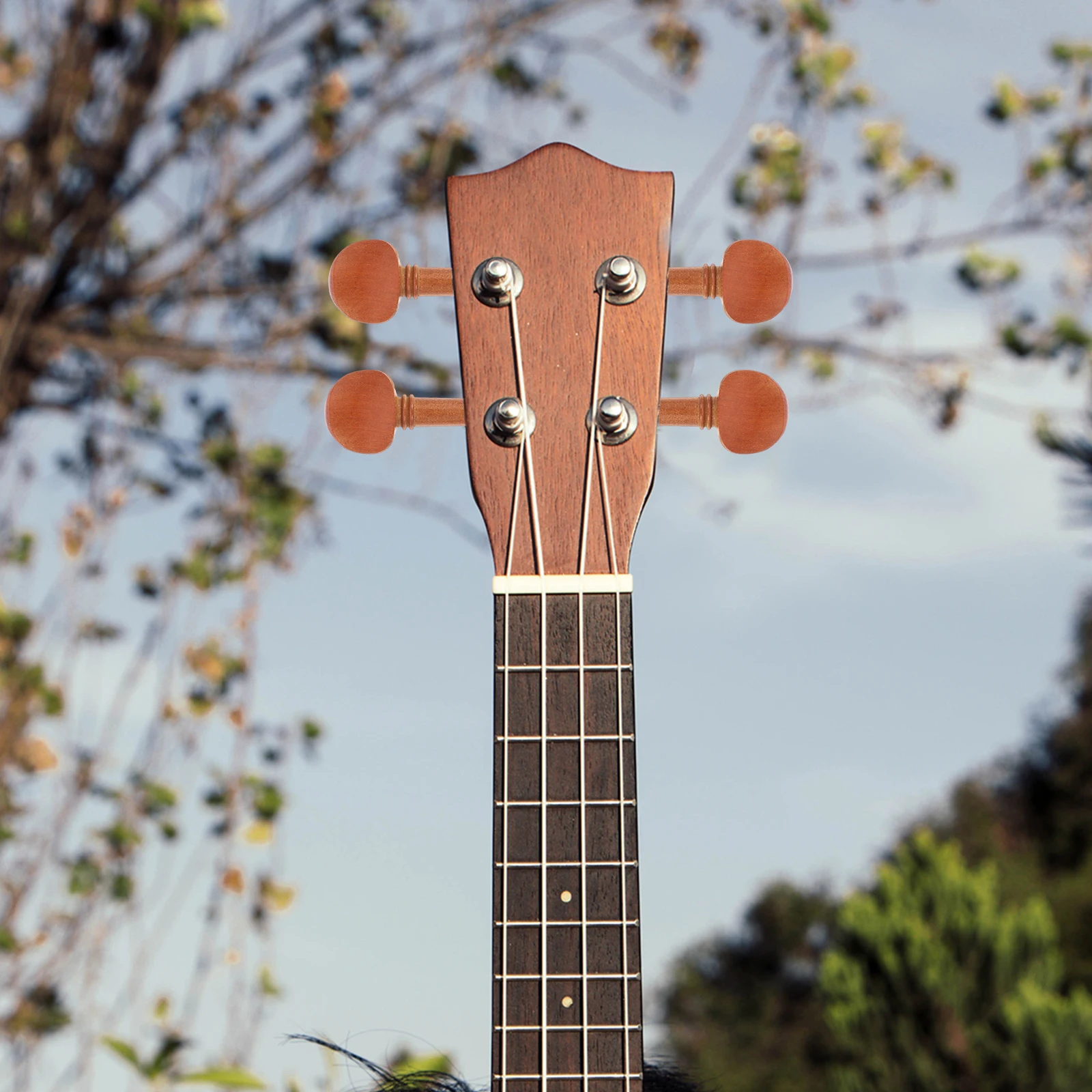 

4 Pcs Violin Pegs Supplies for Musical Instruments Accessory Jujube Compound Women's