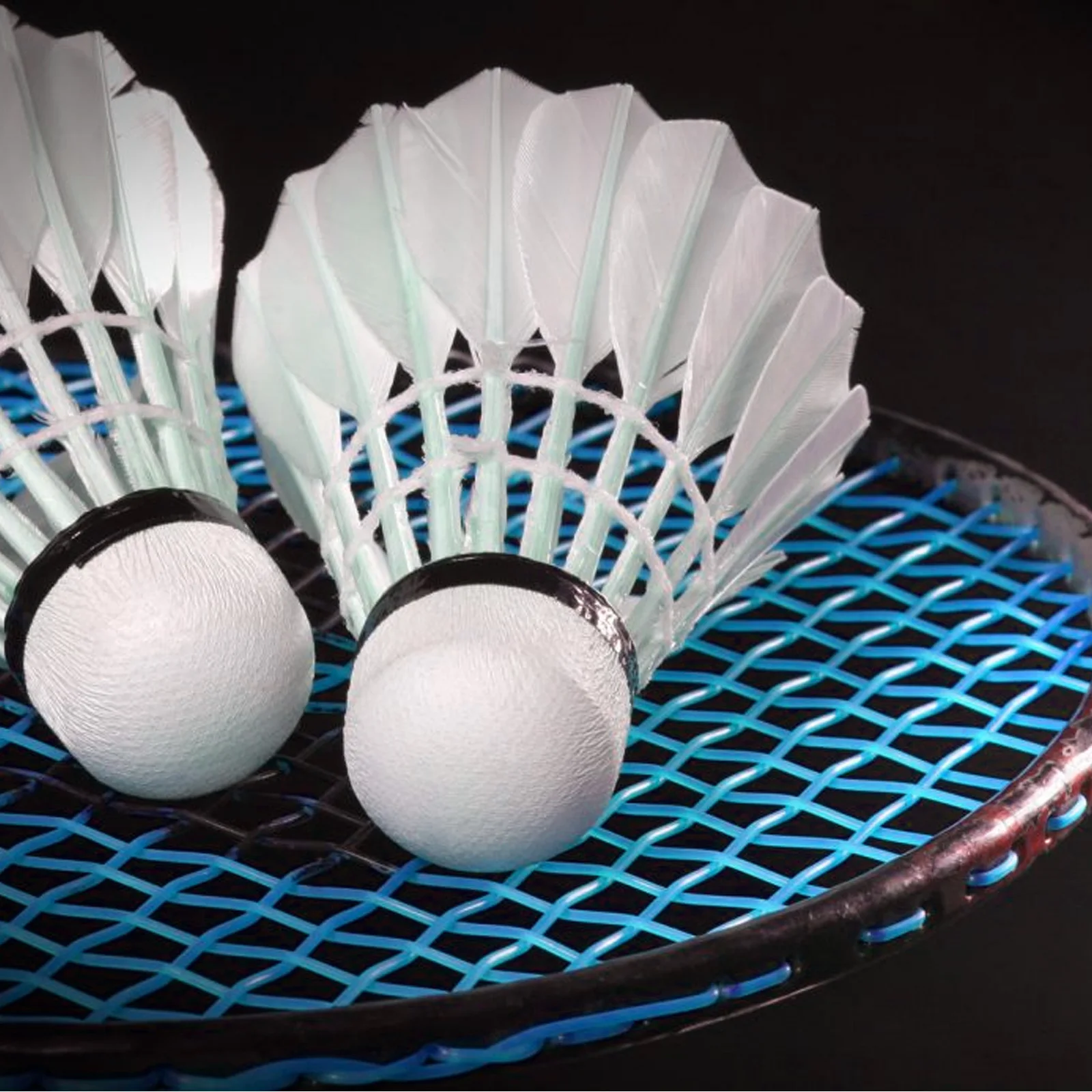 

High Elasticity Durable Nylon Badminton Racket String Training Replacement Line Elastic Badminton Supplies Tennis String