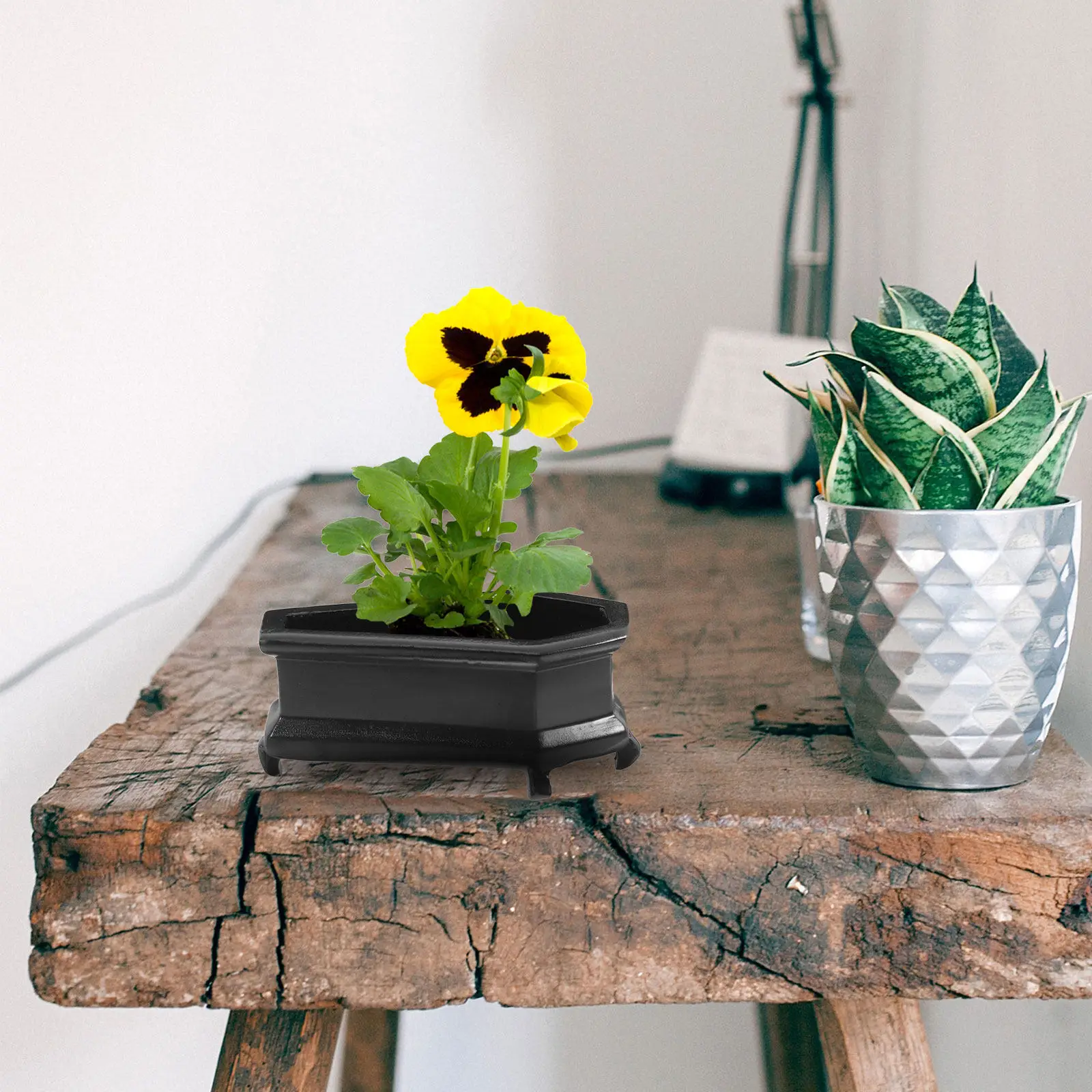 

Modern Decorative Planter Coffin-Shaped Resin Pot for Cacti and Succulents Gothic Style Indoor Plant Holder Tabletop Home Decor